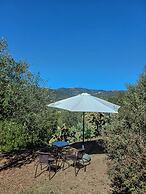 Casale I Cirillo: Primula & Iberide Florida