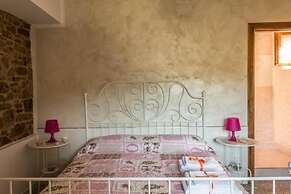 Casale I Cirillo: Primula & Iberide Florida