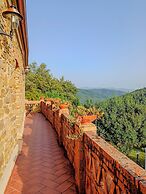 Casale I Cirillo: Primula & Iberide Florida