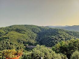 Casale I Cirillo: Primula & Iberide Florida