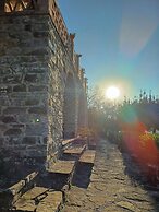 Casale I Cirillo: Primula & Iberide Florida