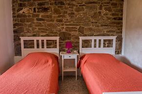 Casale I Cirillo: Primula & Iberide Florida