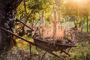 Casale I Cirillo: Primula & Iberide Florida