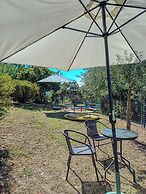 Casale I Cirillo: Primula & Iberide Florida