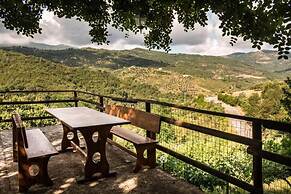 Casale I Cirillo: Primula & Iberide Florida