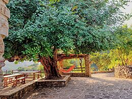 Casale I Cirillo: Primula & Iberide Florida