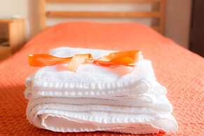 Casale I Cirillo: Primula & Iberide Florida