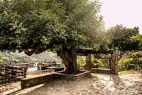 Casale I Cirillo: Primula & Iberide Florida