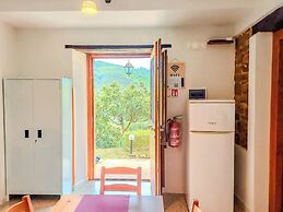 Casale I Cirillo: Primula & Iberide Florida