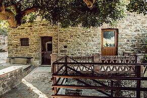 Casale I Cirillo: Primula & Iberide Florida