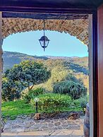 Casale I Cirillo: Primula & Iberide Florida