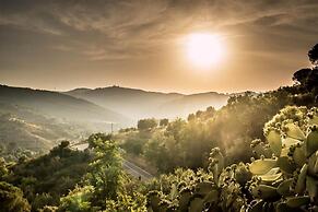 Casale I Cirillo: Primula & Iberide Florida