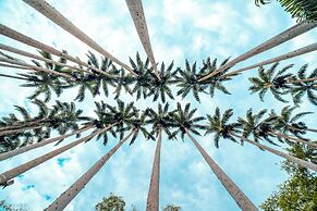 Centro Vacacional Las Palmeras