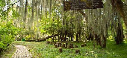 Apartamento Familiar