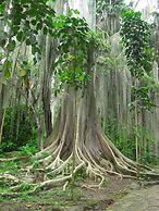 Apartamento Familiar