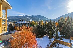 Beautiful One Bedroom Suite - 416