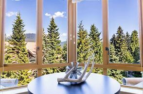 Entire Studio in Whistler Village Resort - Unit 437