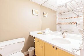 Spacious One Bedroom Suite 406