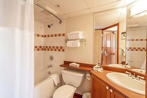 Mountain View Studio in Whistler Village - Unit 414