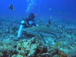 Ratu Kini's Dive & Stay