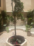 WESTERN WALL ESSAOUIRA