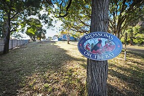 Blossoms on the Bay - 4 Bedrooms