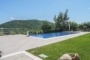 Villa In Vigna