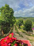 Villa Aperta Campagna