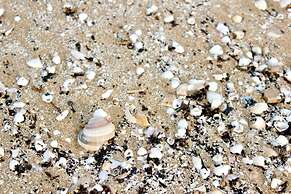 Tallarol in Grau i Platja