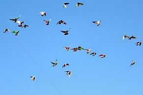 Llam Ntol in Oliva With 3 Bedrooms and 1 Bathrooms