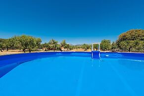 Paratge De Son Toniet