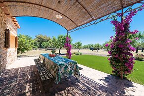 Paratge De Son Toniet