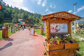 L Aquila Campo Smith On The Ski Slopes