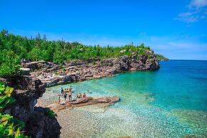 Cozy Cabin in the Forest