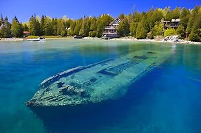 Cozy Cabin in the Forest