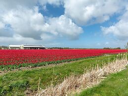 Modern Furnished Apartment at the Foot of Dunes