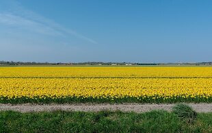 Cozy Apmt for 5people by the sea