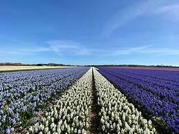 Holiday Home With a Spacious Garden