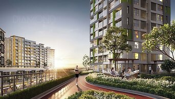 Century Diamond Alnata Plus - Tan Phu