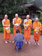 iRETREAT Jungle Bliss Pa Pae