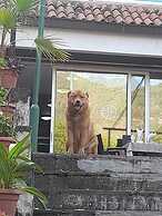 Eurohotel Gradce - Hotel Brana Gradce