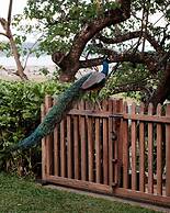 M Beach House by Boutique