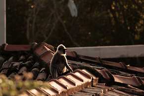 M Beach House by Boutique