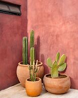 Casa Todos by Boutique