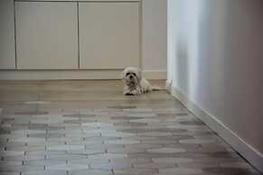 hotel almalux jesolo di furlan andrea