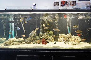 Melwood Suites Unit 105 Studio