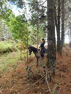 Glamping Rustiko Salento