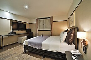 Busan BrownDot Umgoong