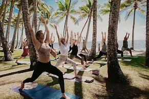 Palm Cove Studio Apartments