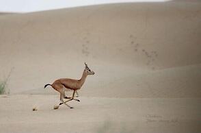 Sonal Desert Camp Jaisalmer